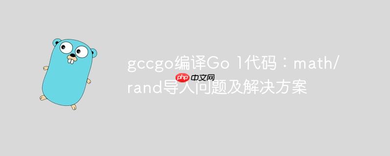 gccgo编译go 1代码:math/rand导入问题及解决方案