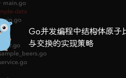 Go并发编程中结构体原子比较与交换的实现策略