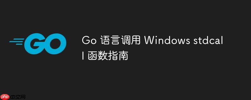 Go 语言调用 Windows stdcall 函数指南