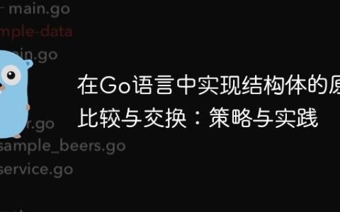 在Go语言中实现结构体的原子比较与交换：策略与实践