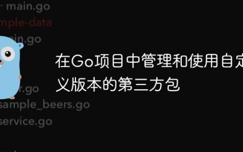 在Go项目中管理和使用自定义版本的第三方包