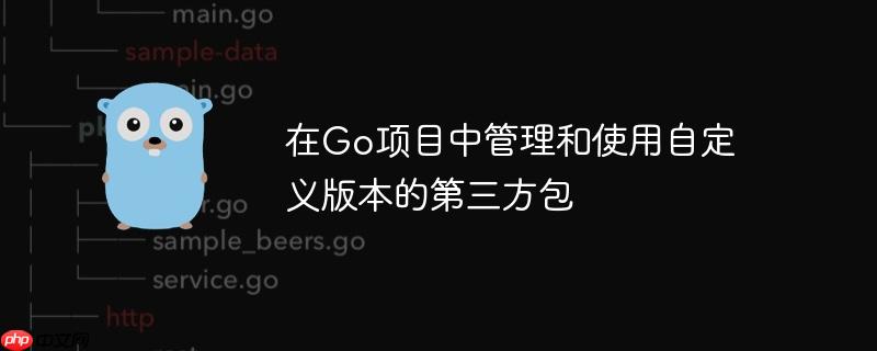 在go项目中管理和使用自定义版本的第三方包