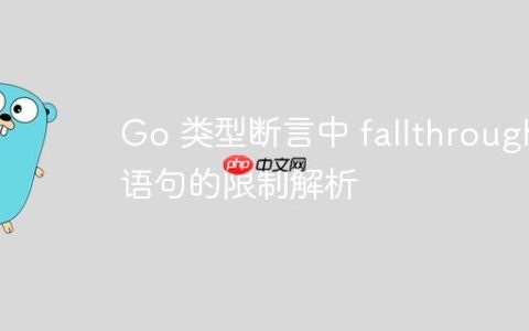 Go 类型断言中 fallthrough 语句的限制解析