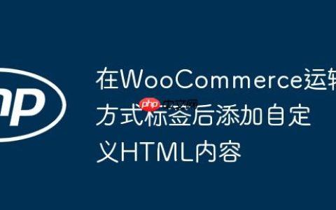 在WooCommerce运输方式标签后添加自定义HTML内容