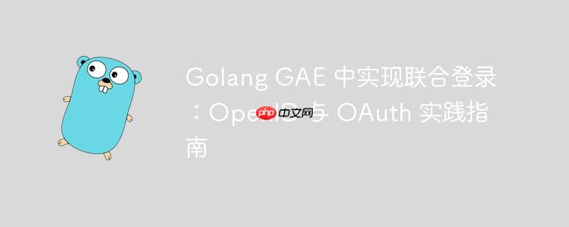 Golang GAE 中实现联合登录：OpenID 与 OAuth 实践指南