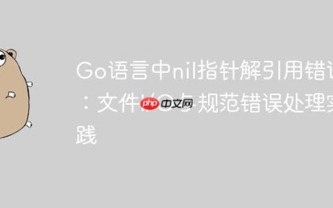 Go语言中nil指针解引用错误：文件I/O与规范错误处理实践