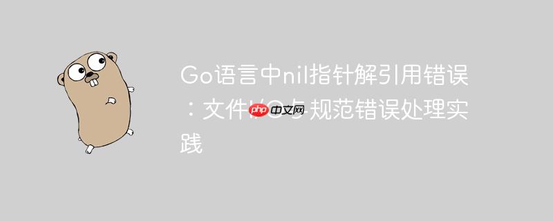 Go语言中nil指针解引用错误:文件I/O与规范错误处理实践