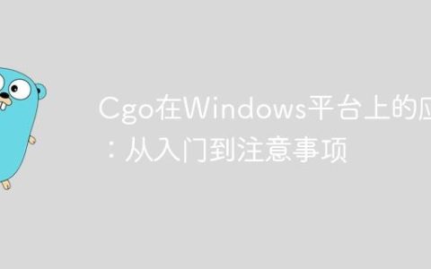 Cgo在Windows平台上的应用：从入门到注意事项