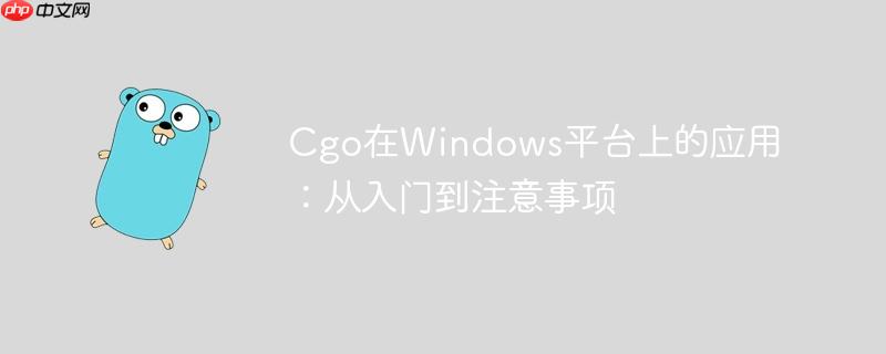 Cgo在Windows平台上的应用:从入门到注意事项