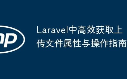 Laravel中高效获取上传文件属性与操作指南