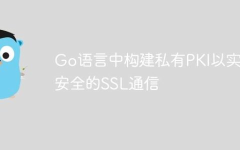 Go语言中构建私有PKI以实现安全的SSL通信