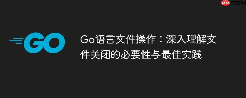 Go语言文件操作:深入理解文件关闭的必要性与最佳实践