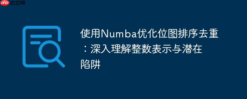 使用Numba优化位图排序去重:深入理解整数表示与潜在陷阱