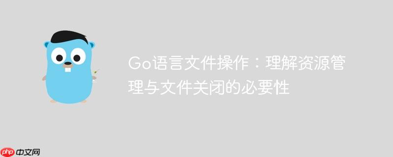 Go语言文件操作:理解资源管理与文件关闭的必要性