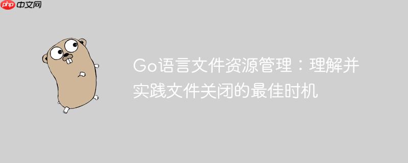 Go语言文件资源管理：理解并实践文件关闭的最佳时机