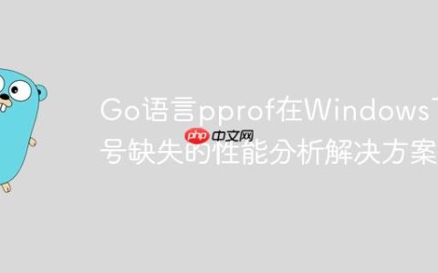 Go语言pprof在Windows下符号缺失的性能分析解决方案