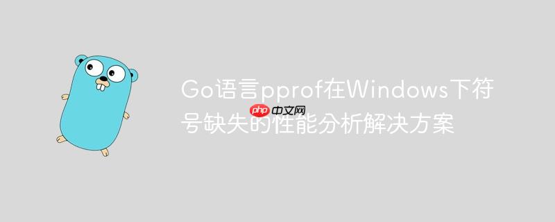 Go语言pprof在Windows下符号缺失的性能分析解决方案