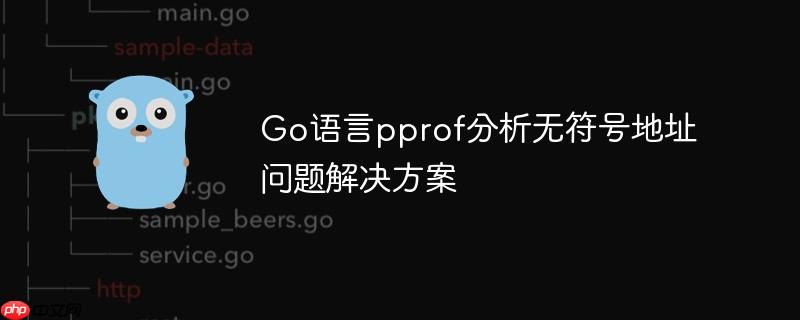 Go语言pprof分析无符号地址问题解决方案