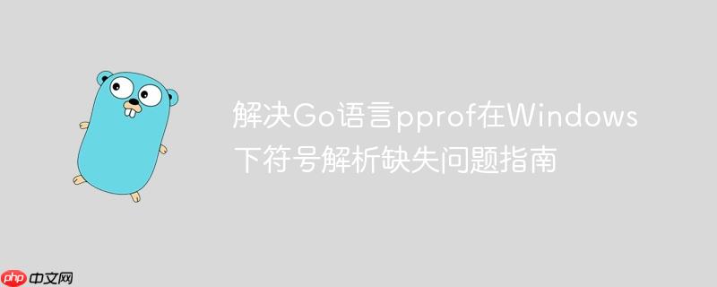 解决Go语言pprof在Windows下符号解析缺失问题指南