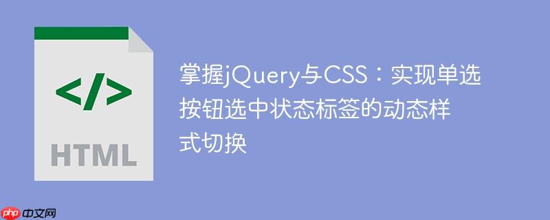 掌握jQuery与CSS:实现单选按钮选中状态标签的动态样式切换