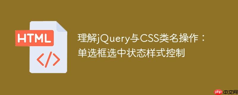 理解jQuery与CSS类名操作:单选框选中状态样式控制