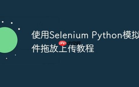 使用Selenium Python模拟文件拖放上传教程