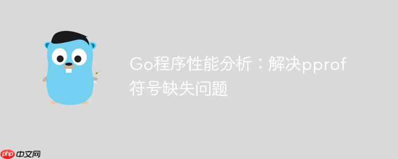 go程序性能分析：解决pprof符号缺失问题