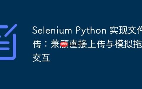 Selenium Python 实现文件上传：兼顾直接上传与模拟拖拽交互