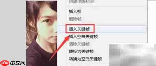 Flash动画制作入门指南