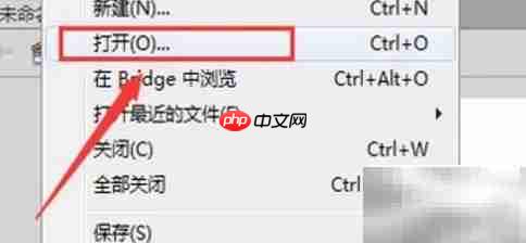 Flash动画制作入门指南
