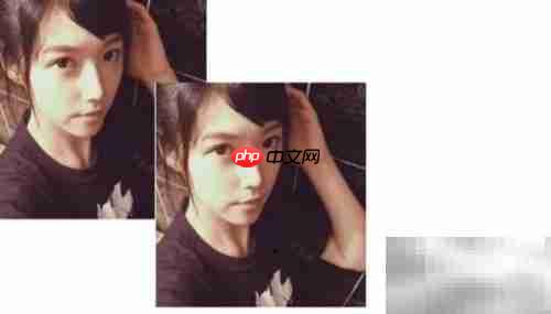 Flash动画制作入门指南