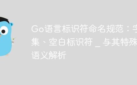 Go语言标识符命名规范：字符集、空白标识符 _ 与其特殊语义解析