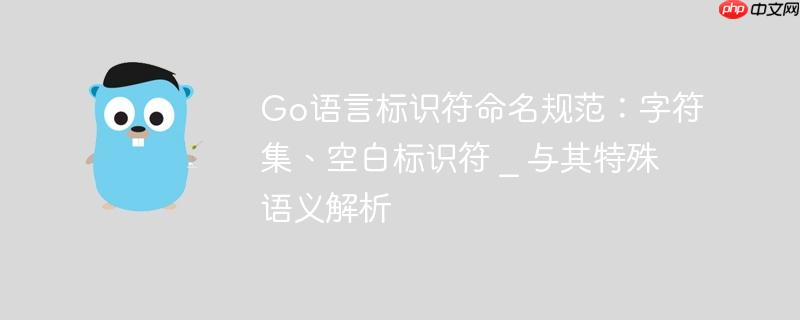 Go语言标识符命名规范:字符集、空白标识符 _ 与其特殊语义解析