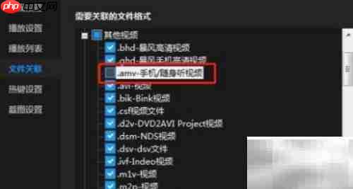 暴风影音关联AMV文件流程