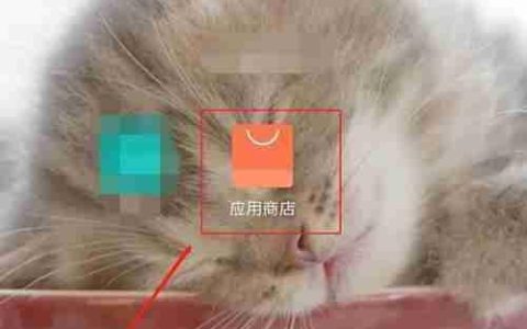 手机克隆安装方法