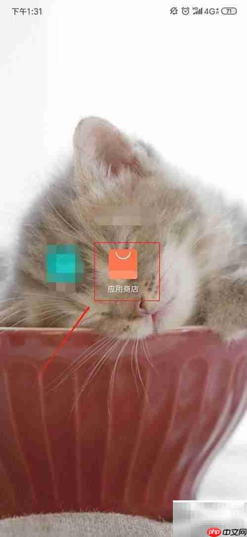 手机克隆安装方法