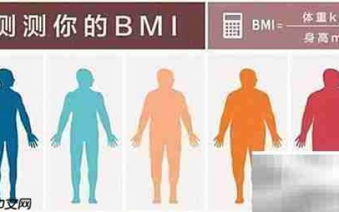 BMI是什么？一文读懂