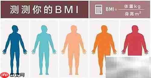 BMI是什么?一文读懂