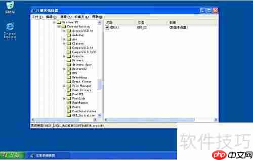 Windows Media Player 11 简介