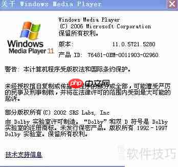 Windows Media Player 11 简介