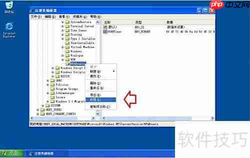 Windows Media Player 11 简介