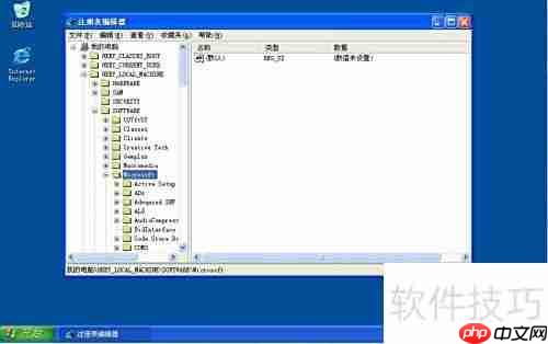 Windows Media Player 11 简介
