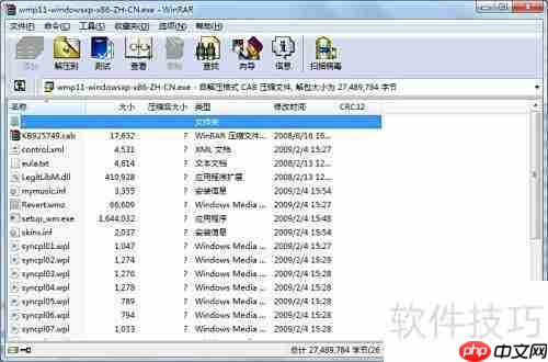 Windows Media Player 11 简介
