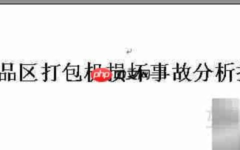 事故分析报告格式