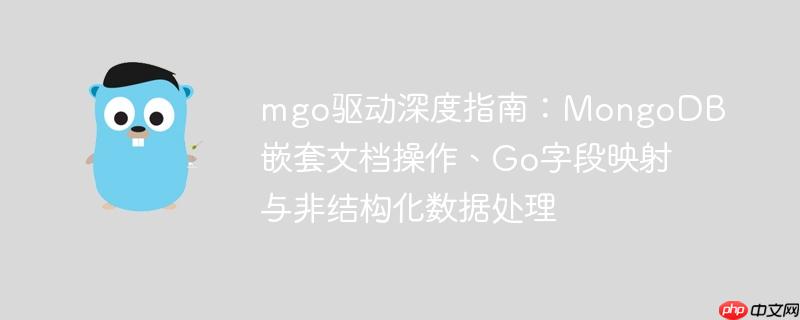 mgo驱动深度指南：MongoDB嵌套文档操作、Go字段映射与非结构化数据处理