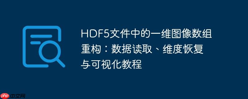 HDF5文件中的一维图像数组重构:数据读取、维度恢复与可视化教程