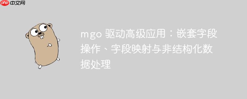 mgo 驱动高级应用:嵌套字段操作、字段映射与非结构化数据处理
