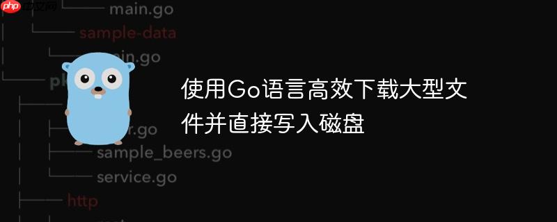 使用go语言高效下载大型文件并直接写入磁盘