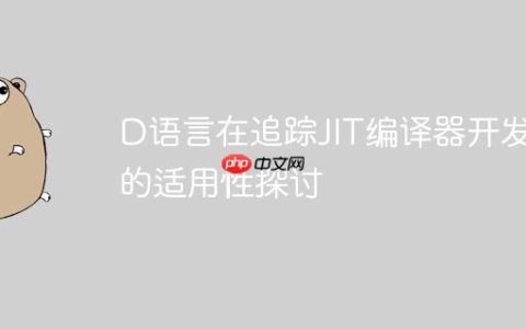 D语言在追踪JIT编译器开发中的适用性探讨