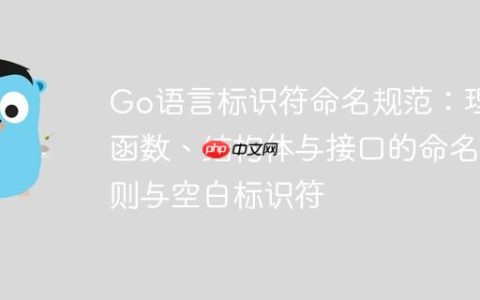 Go语言标识符命名规范：理解函数、结构体与接口的命名规则与空白标识符